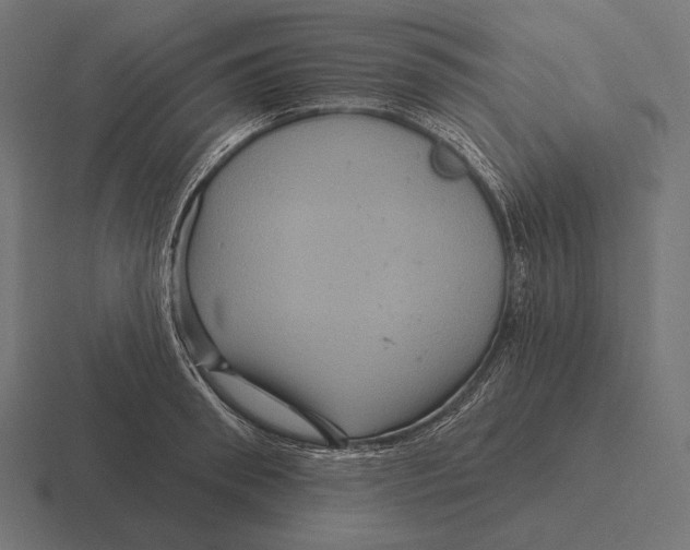 X0000116590898200912291306