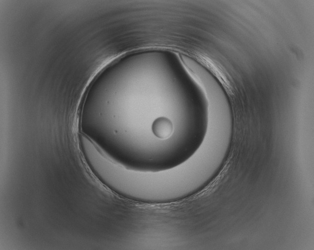 X0000116590900200912291306