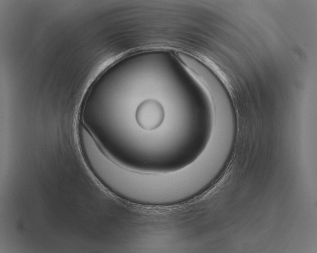 X0000116590901200912291306