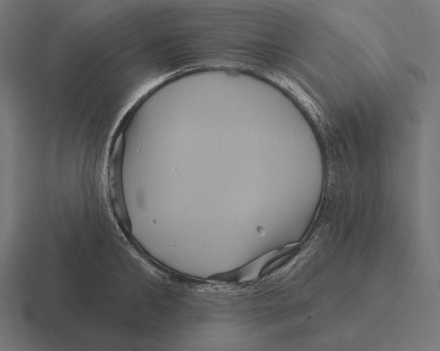 X0000116590902200912291306