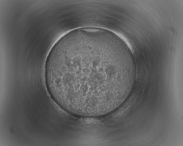 X0000116590903200912291305