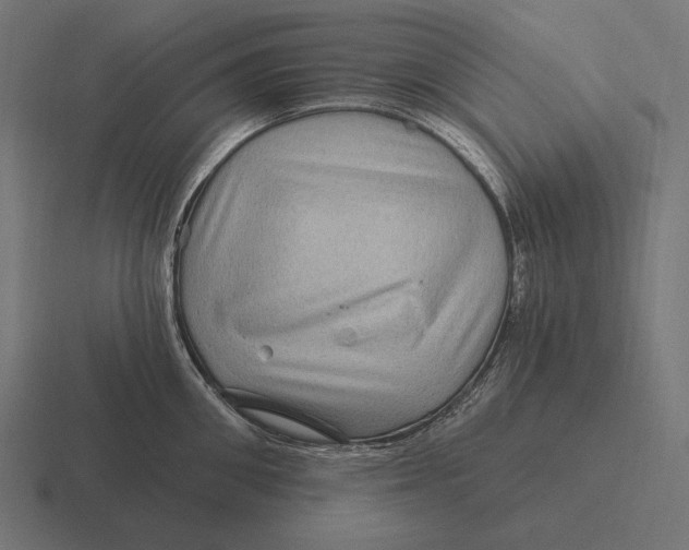 X0000116590906200912291305