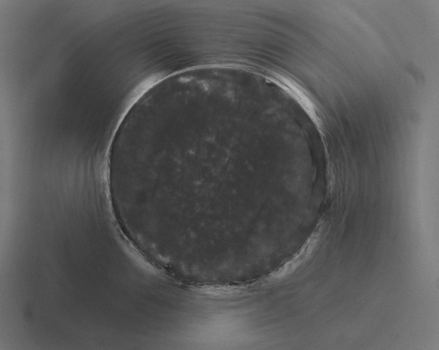 X0000116590907200912291305