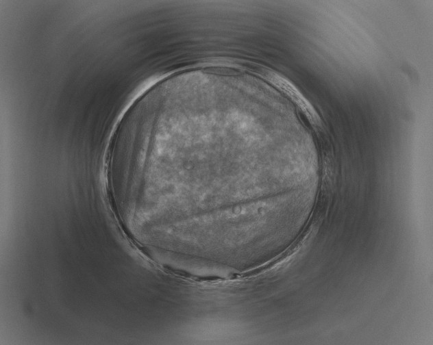 X0000116590908200912291305