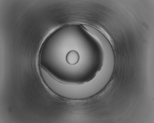 X0000116590909200912291305