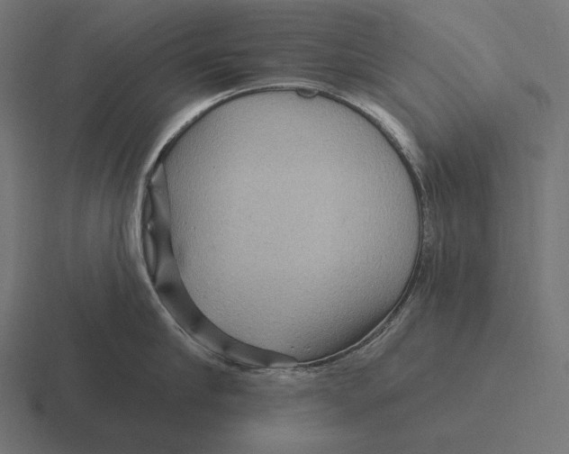 X0000116590910200912291305