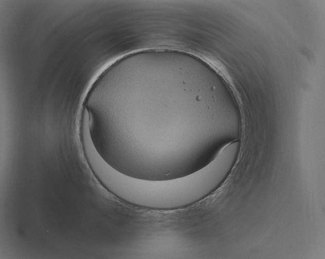 X0000116590912200912291305