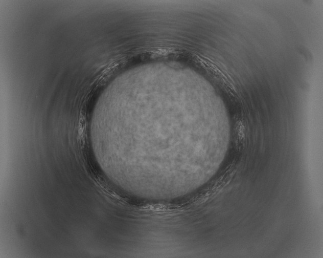 X0000116590914200912291305