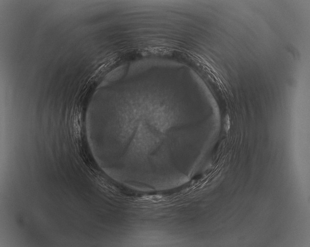 X0000116590915200912291305