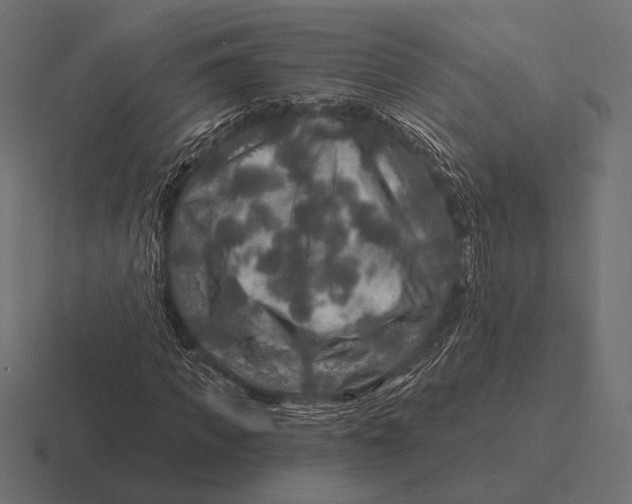 X0000116590917200912291305