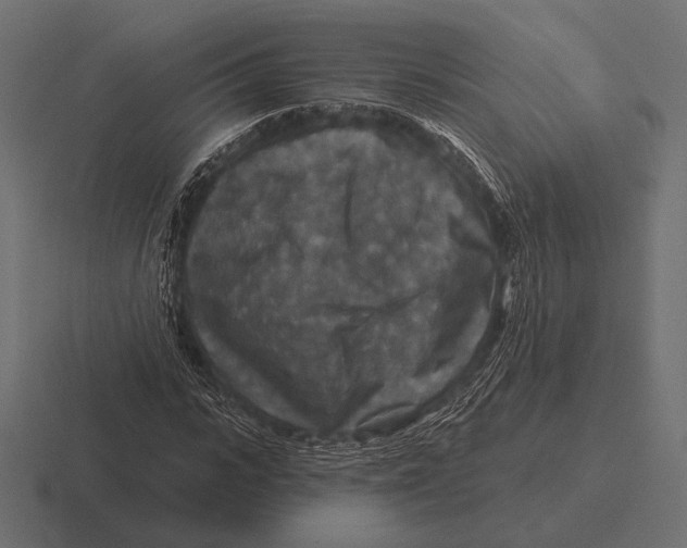 X0000116590919200912291305