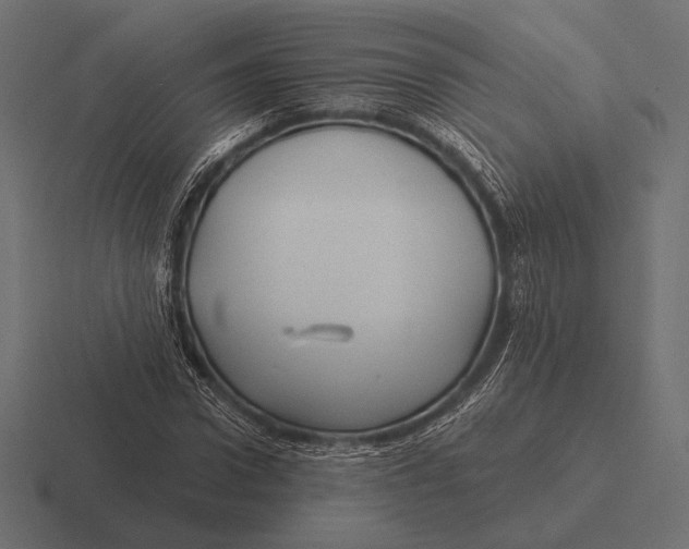 X0000116590922200912291305