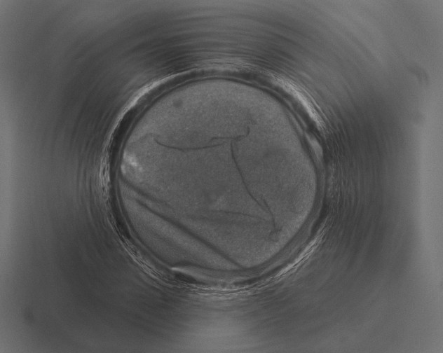 X0000116590923200912291305