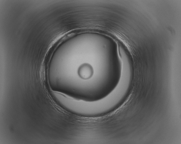 X0000116590925200912291305