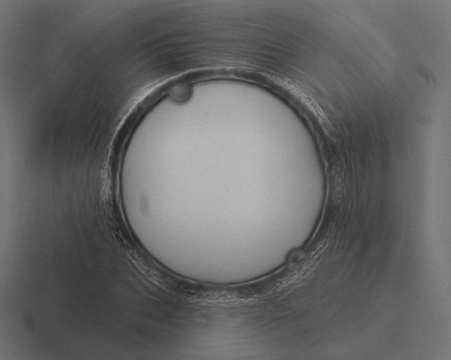 X0000116590927200912291305