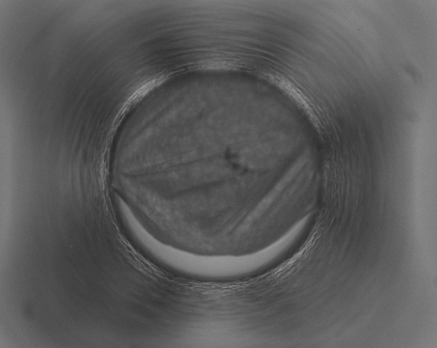 X0000116590930200912291305