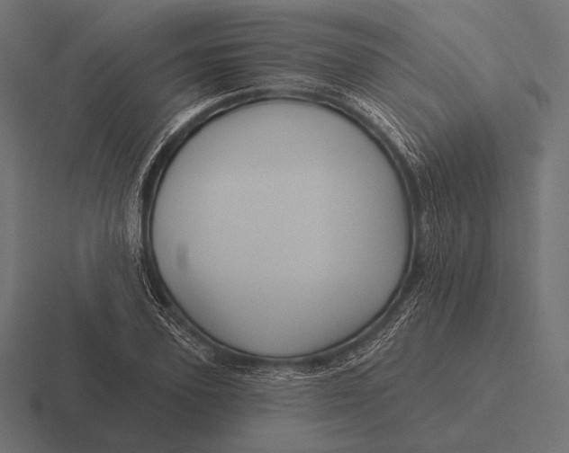 X0000116590931200912291305