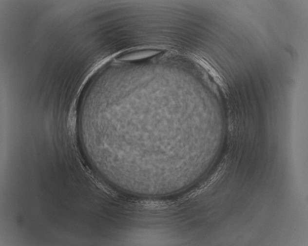 X0000116590933200912291305