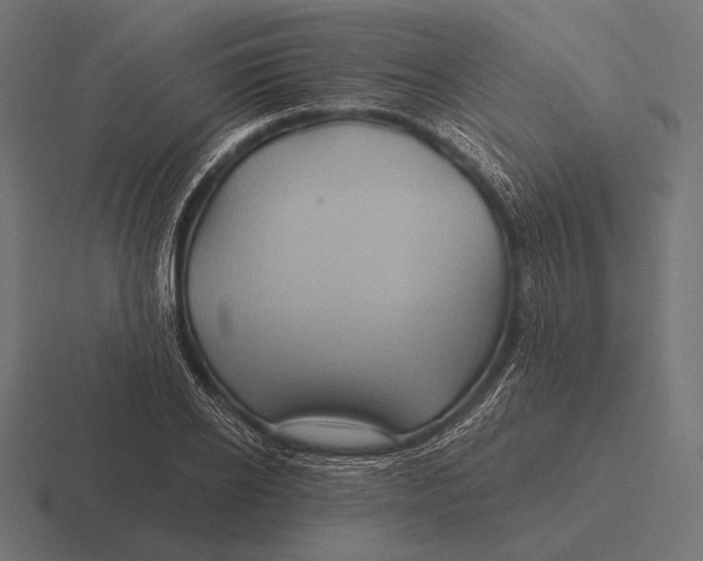 X0000116590934200912291305