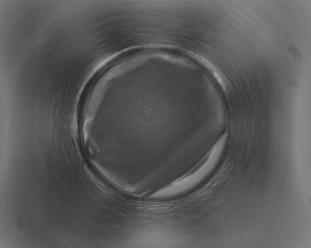 X0000116590935200912291305