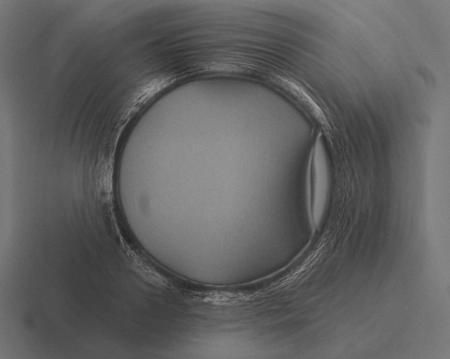 X0000116590938200912291305