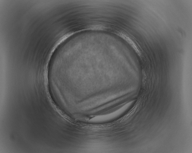 X0000116590939200912291305