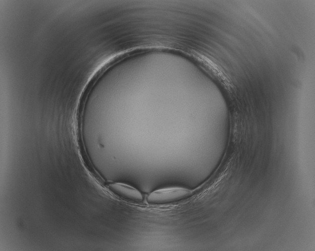 X0000116590942200912291305