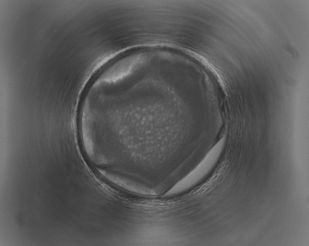 X0000116590943200912291305