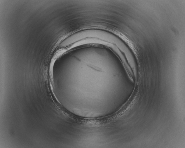 X0000116590945200912291305