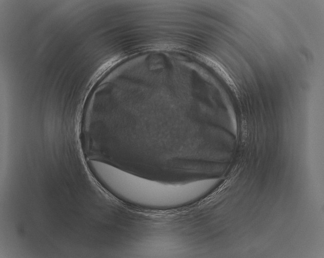 X0000116590946200912291305