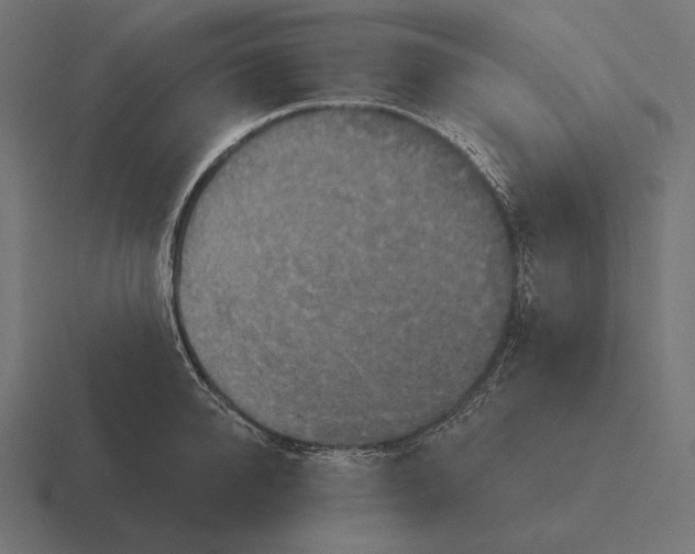 X0000116590950200912291305