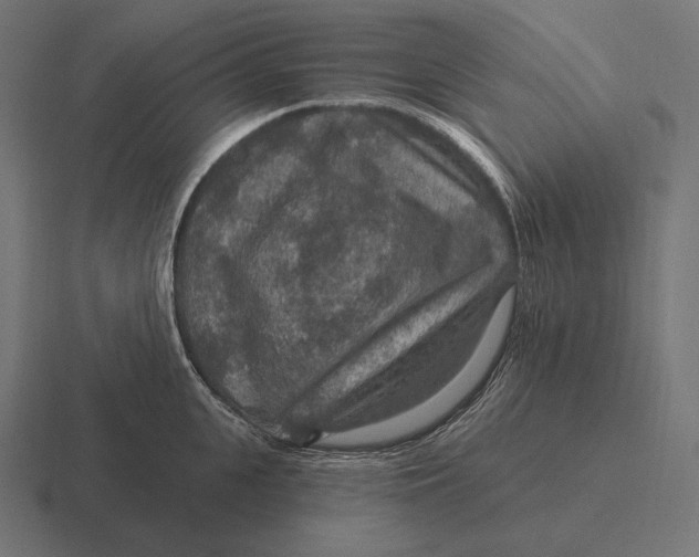 X0000116590951200912291305