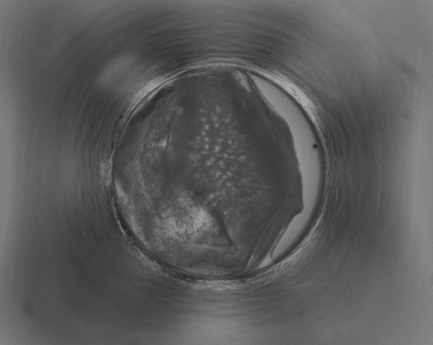 X0000116590953200912291305