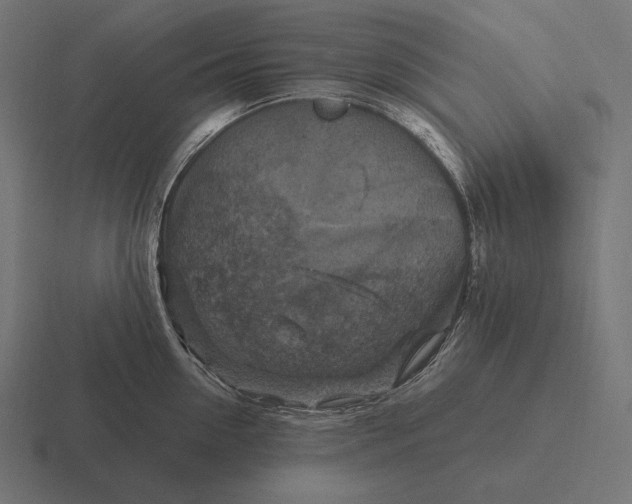 X0000116590954200912291305