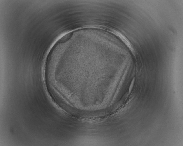 X0000116590955200912291305