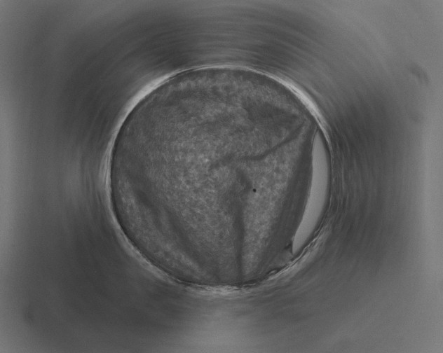 X0000116590957200912291305