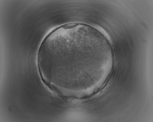 X0000116590958200912291305