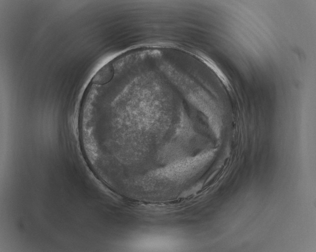 X0000116590959200912291305