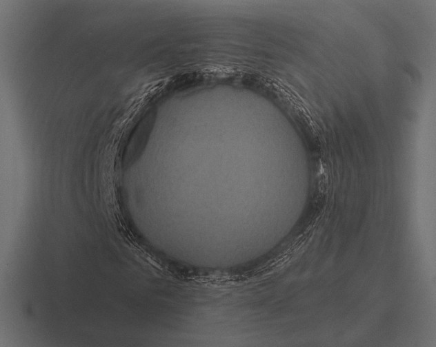 X0000116590961200912291305