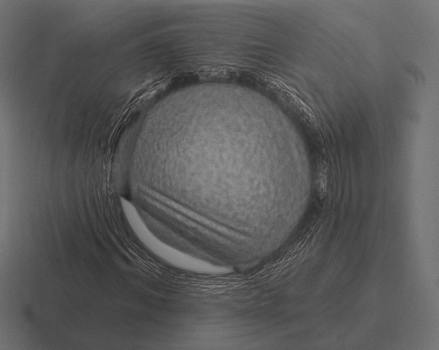 X0000116590964200912291305