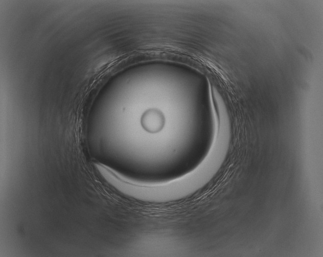 X0000116590965200912291305