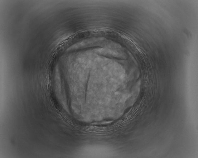 X0000116590966200912291305