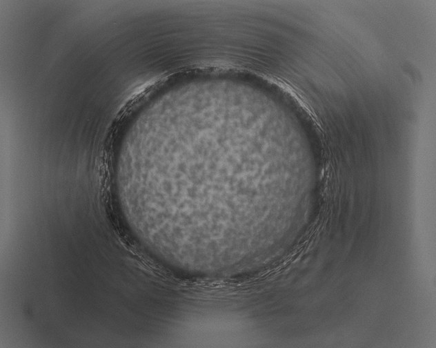 X0000116590967200912291305