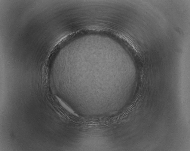 X0000116590968200912291305