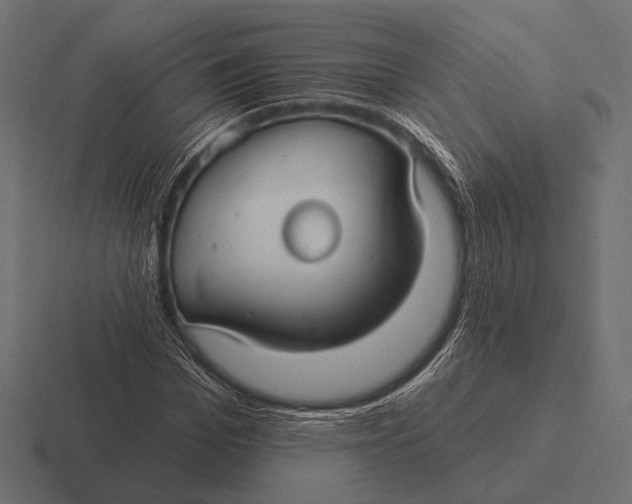 X0000116590969200912291305