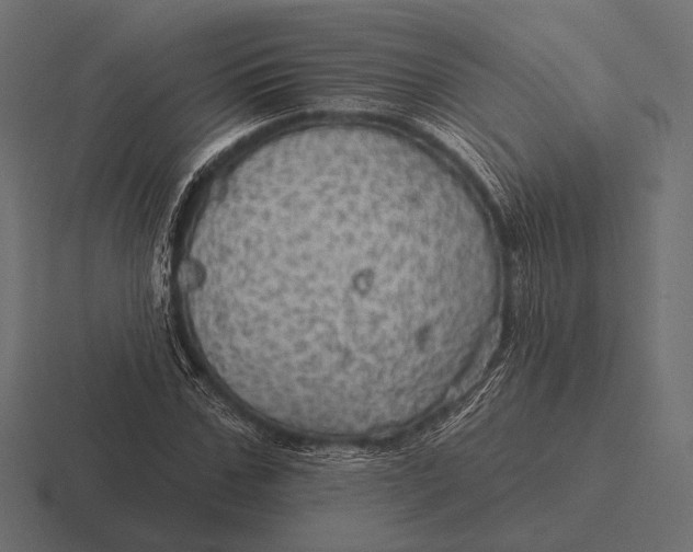 X0000116590971200912291305