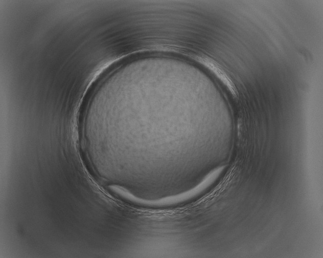 X0000116590972200912291305