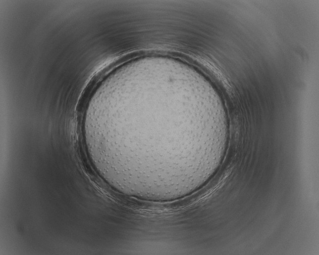 X0000116590974200912291305