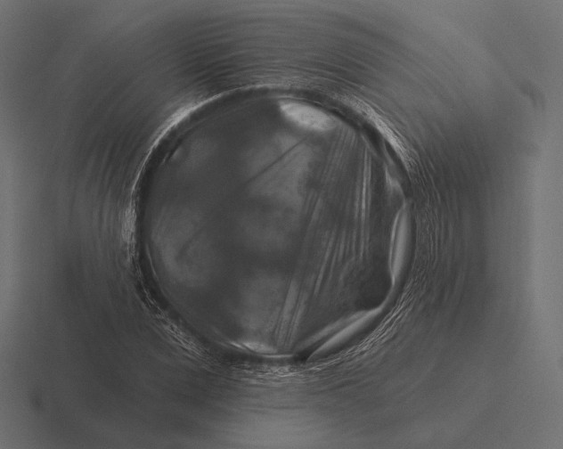 X0000116590975200912291305