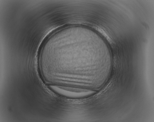 X0000116590976200912291305